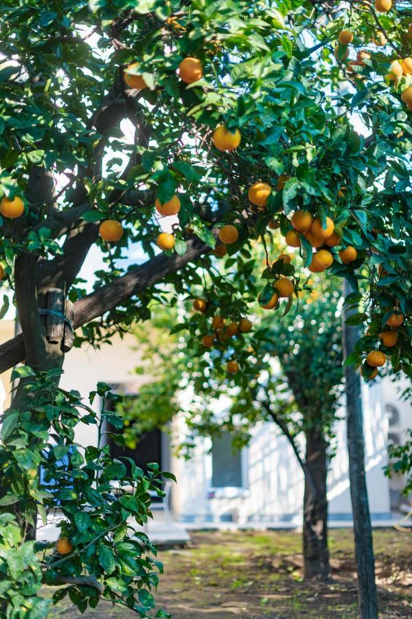 Hotel Pane E Marmellata Sant'Agnello Zewnętrze zdjęcie