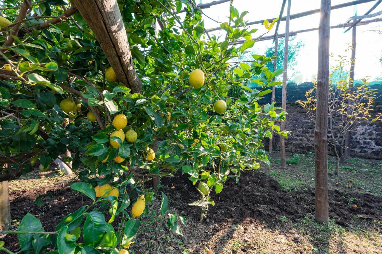 Hotel Pane E Marmellata Sant'Agnello Zewnętrze zdjęcie
