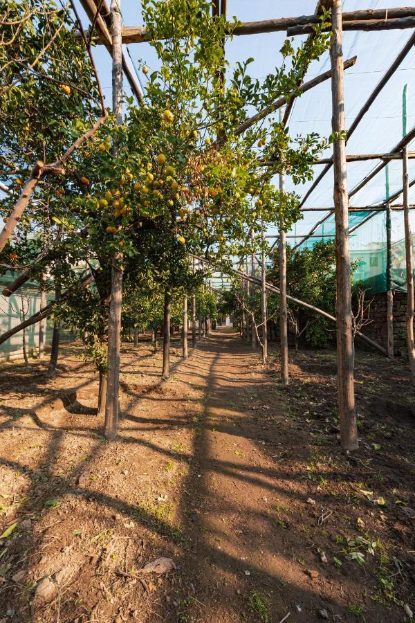 Hotel Pane E Marmellata Sant'Agnello Zewnętrze zdjęcie