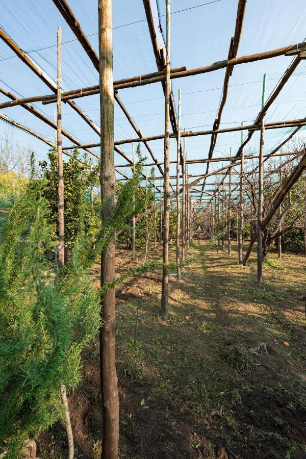 Hotel Pane E Marmellata Sant'Agnello Zewnętrze zdjęcie